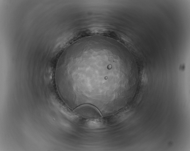 X0000110990567200906191430