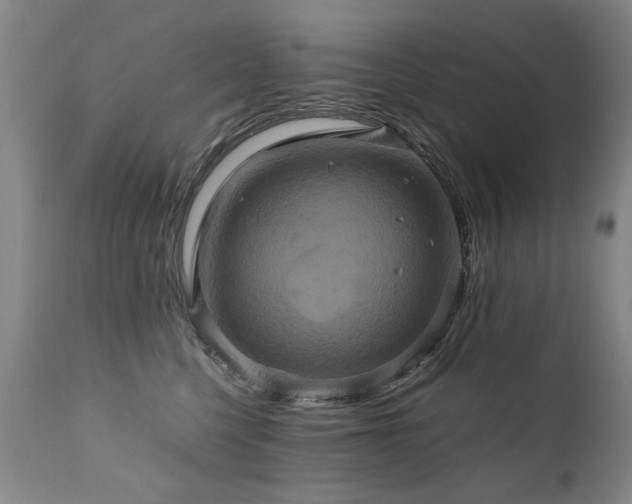 X0000110990568200906191430