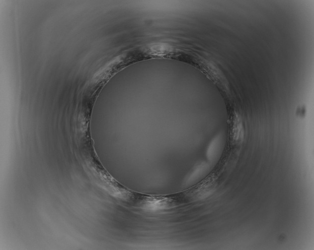 X0000110990569200906191430