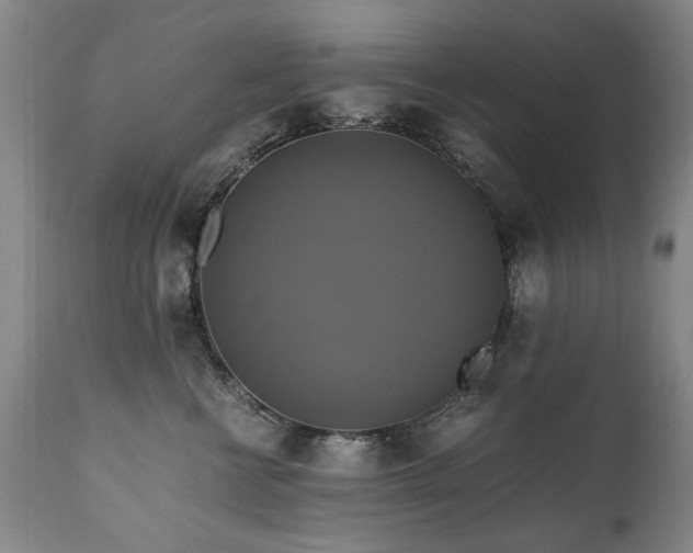 X0000110990570200906191430