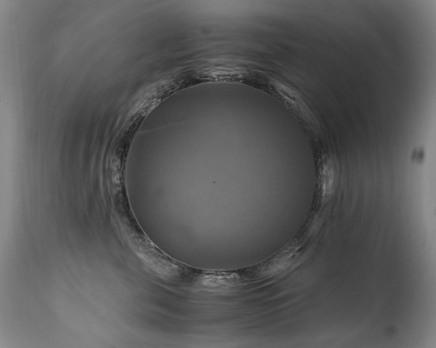 X0000110990571200906191430