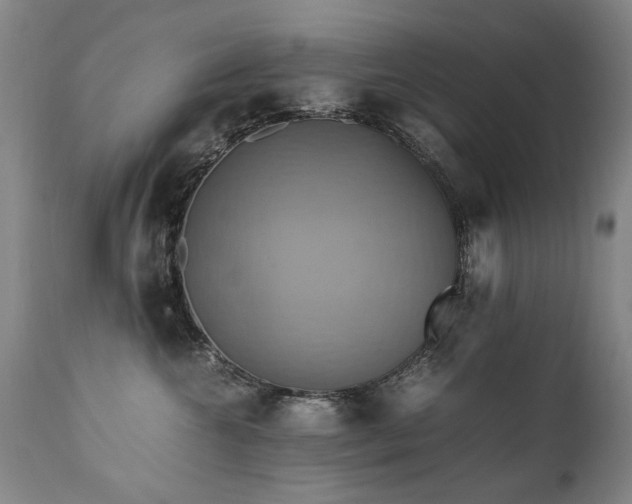 X0000110990572200906191430