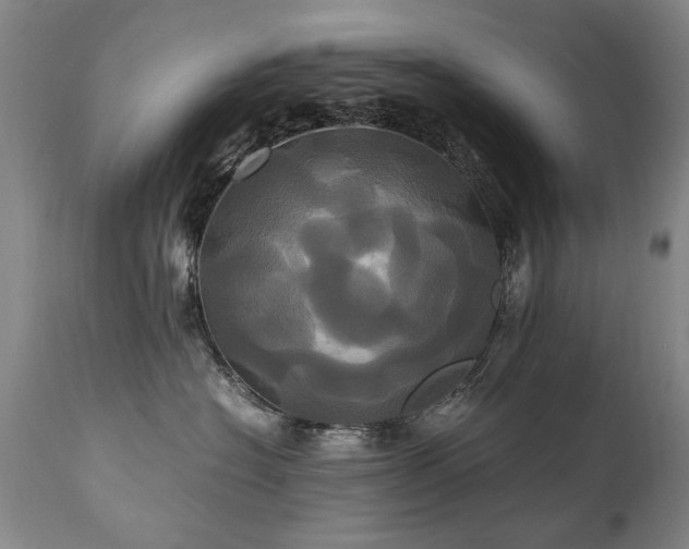 X0000110990574200906191430