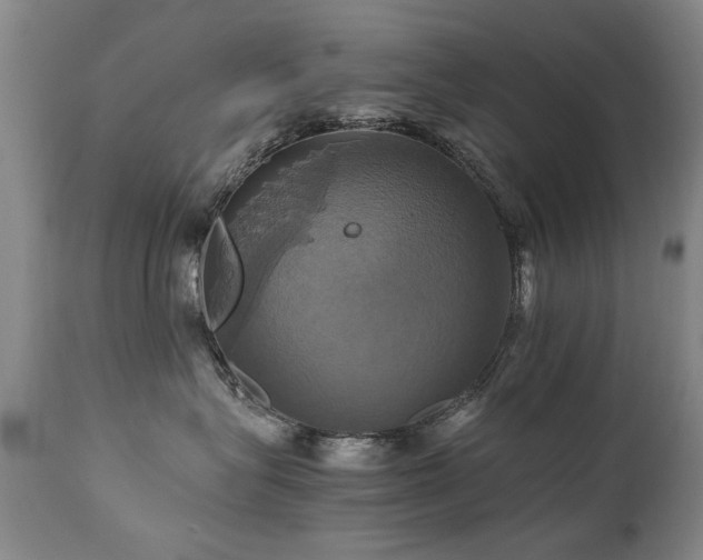 X0000110990575200906191430