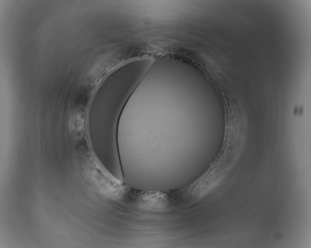 X0000110990576200906191430