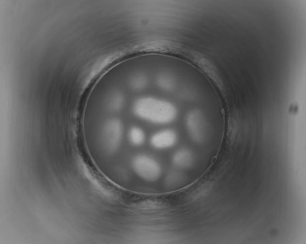 X0000110990578200906191429