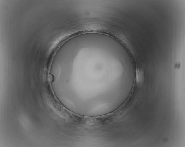 X0000110990579200906191429