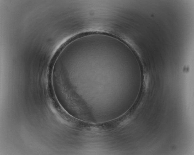 X0000110990580200906191429