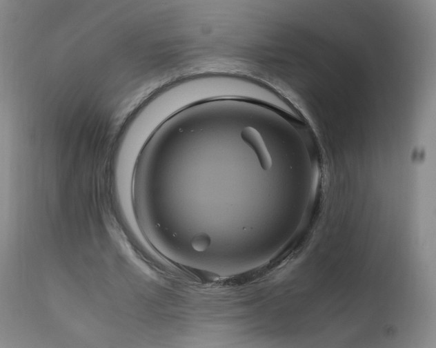 X0000110990581200906191429