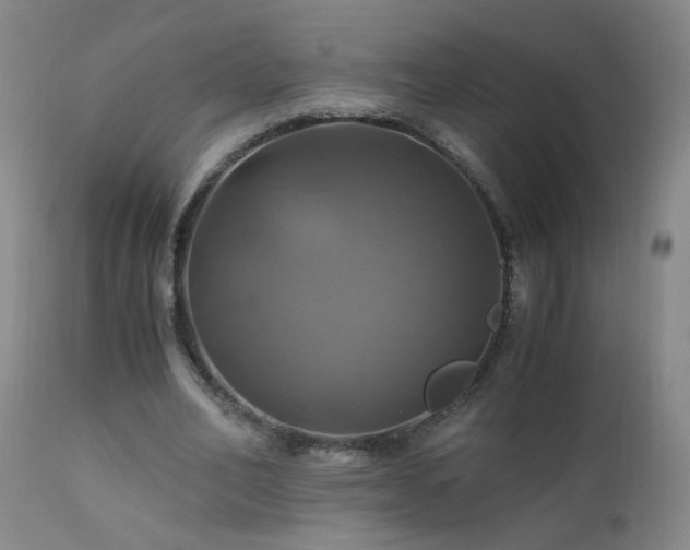 X0000110990582200906191429