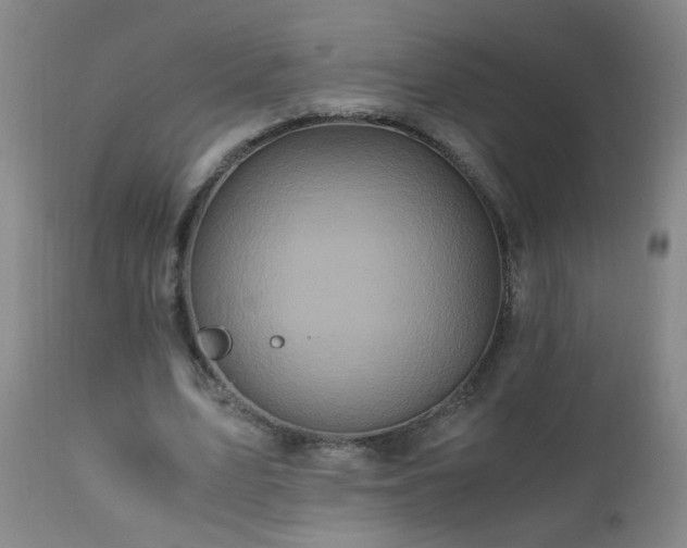 X0000110990583200906191429