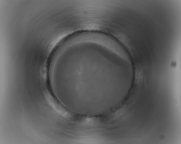 X0000110990584200906191429