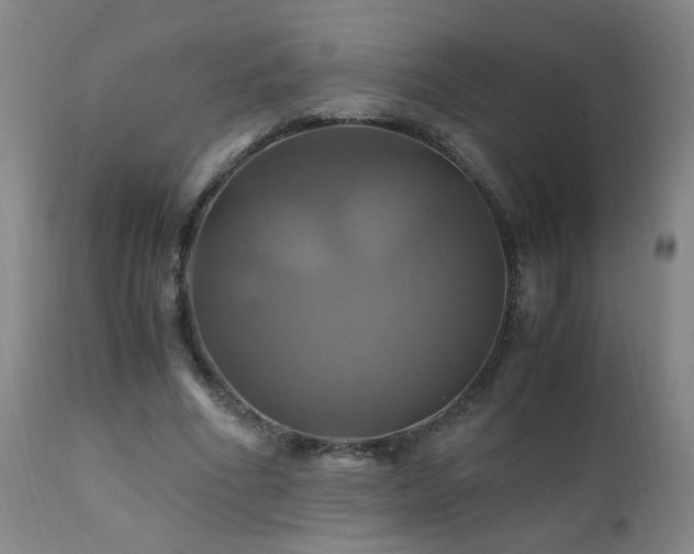 X0000110990586200906191429