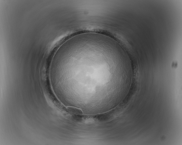 X0000110990587200906191429