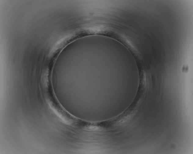 X0000110990590200906191429