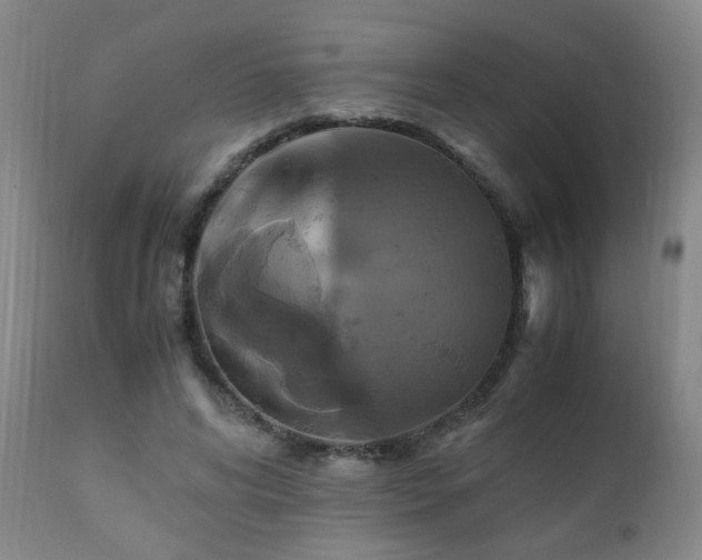 X0000110990592200906191429