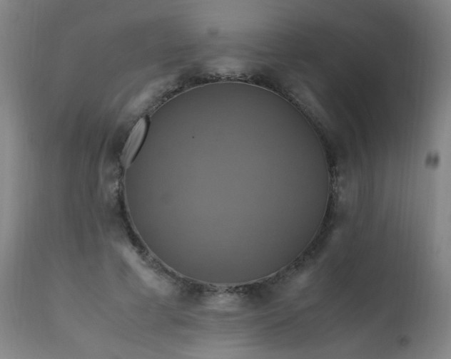 X0000110990593200906191429