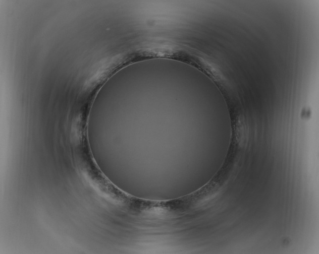 X0000110990594200906191429