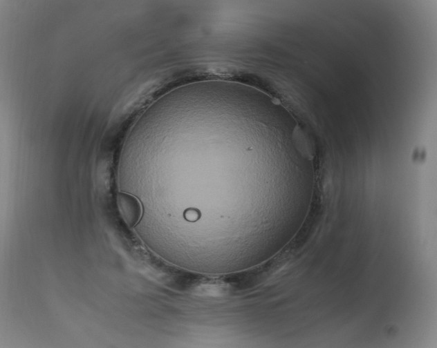 X0000110990595200906191429