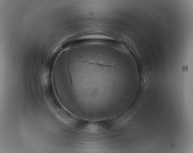 X0000110990596200906191429