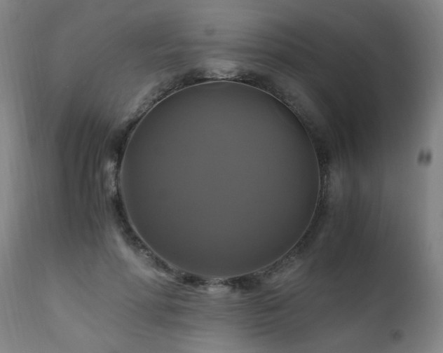 X0000110990598200906191429