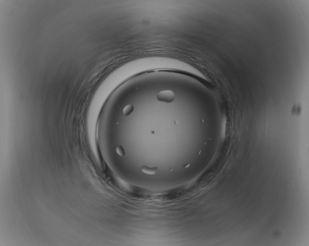 X0000110990599200906191429