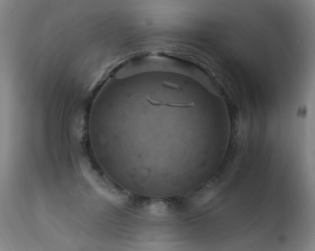 X0000110990600200906191429