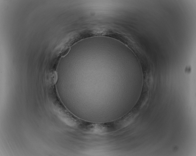 X0000110990601200906191428