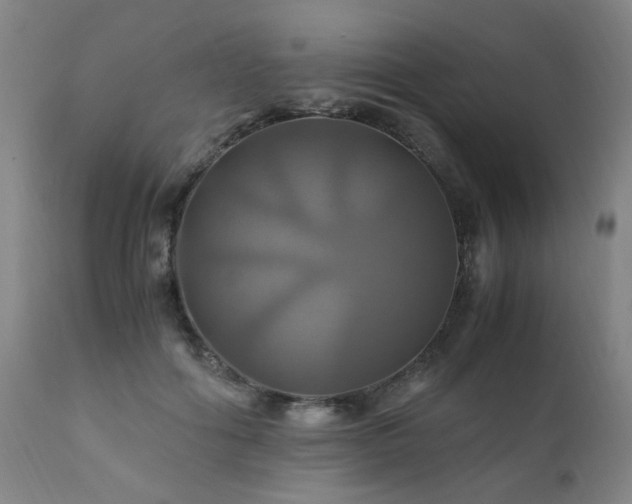 X0000110990602200906191428