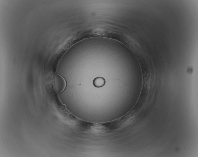 X0000110990603200906191428