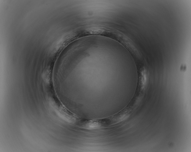 X0000110990604200906191428