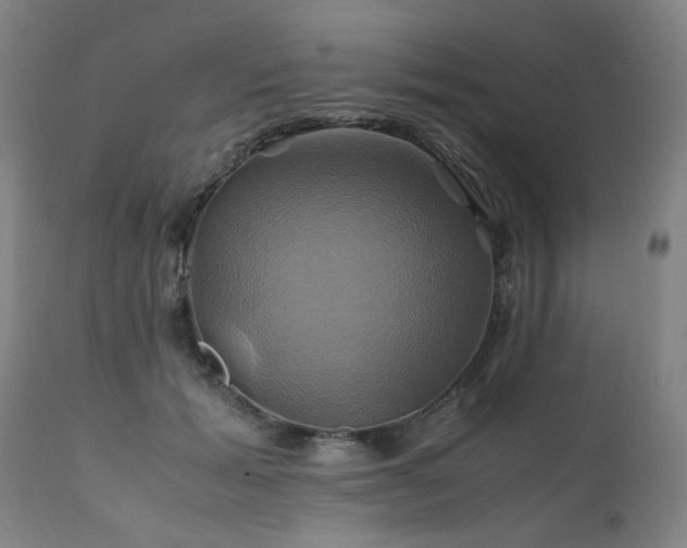 X0000110990605200906191428