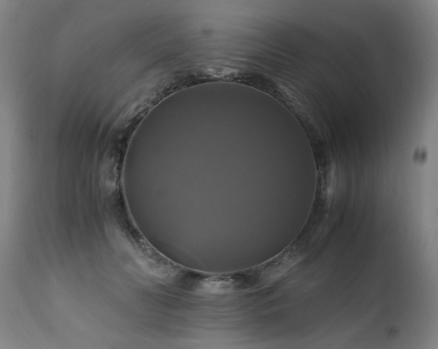 X0000110990606200906191428