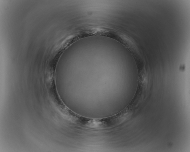 X0000110990607200906191428