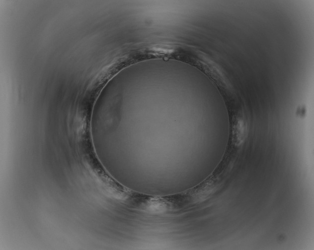 X0000110990608200906191428