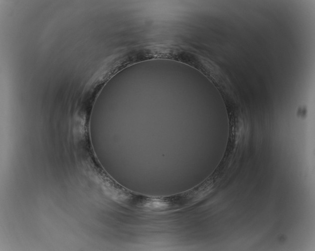 X0000110990610200906191428