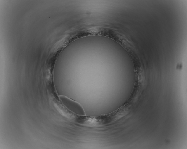 X0000110990611200906191428