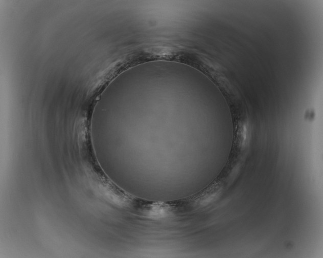 X0000110990612200906191428