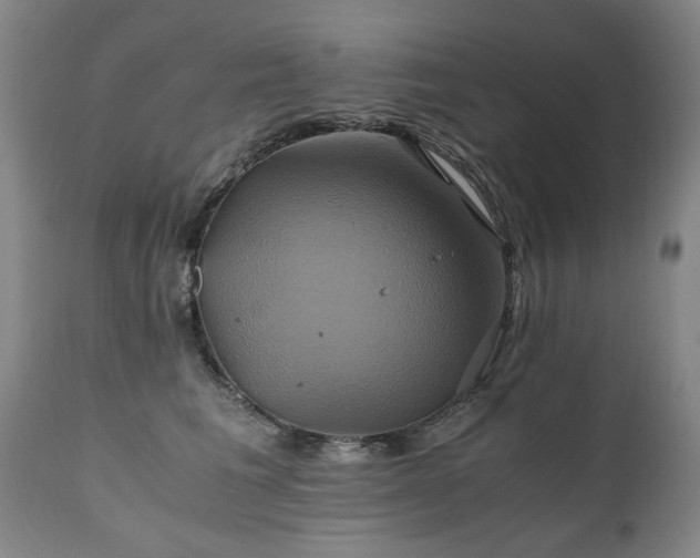 X0000110990613200906191428