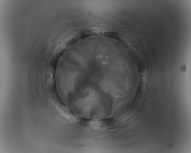 X0000110990615200906191428