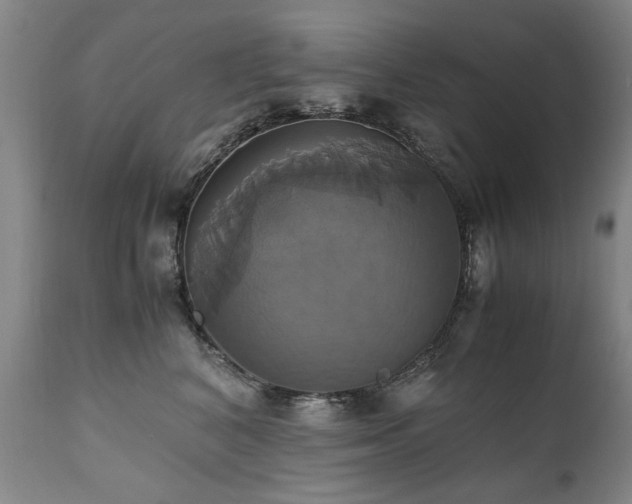 X0000110990616200906191428