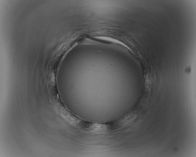X0000110990617200906191428