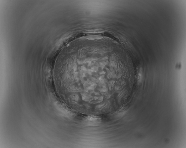 X0000110990619200906191428