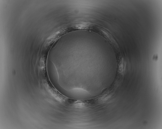 X0000110990620200906191428