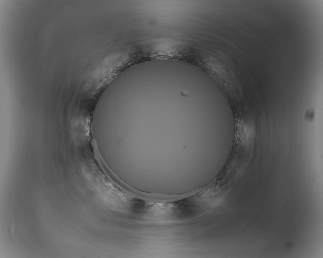 X0000110990621200906191428