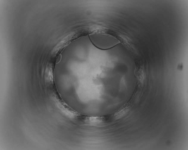 X0000110990622200906191428