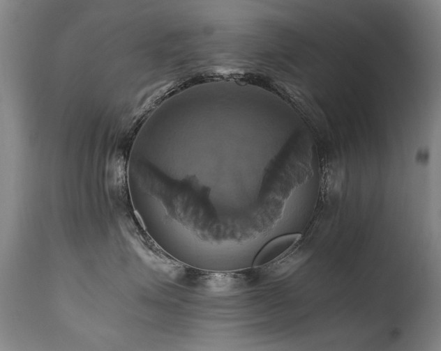 X0000110990623200906191428