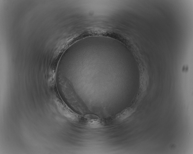 X0000110990624200906191428