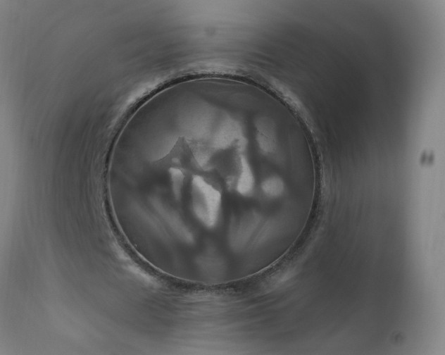 X0000110990625200906191428