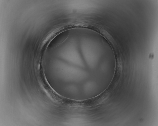 X0000110990626200906191428